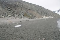 
DSC00038